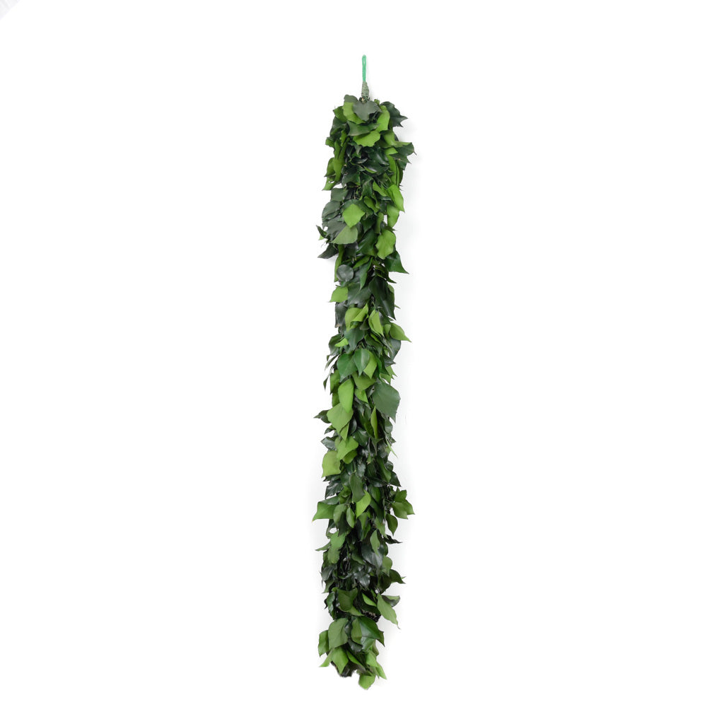 Mini guirlande lierre vert foncé Ø 3 m - Vert - Kiabi - 7.90€